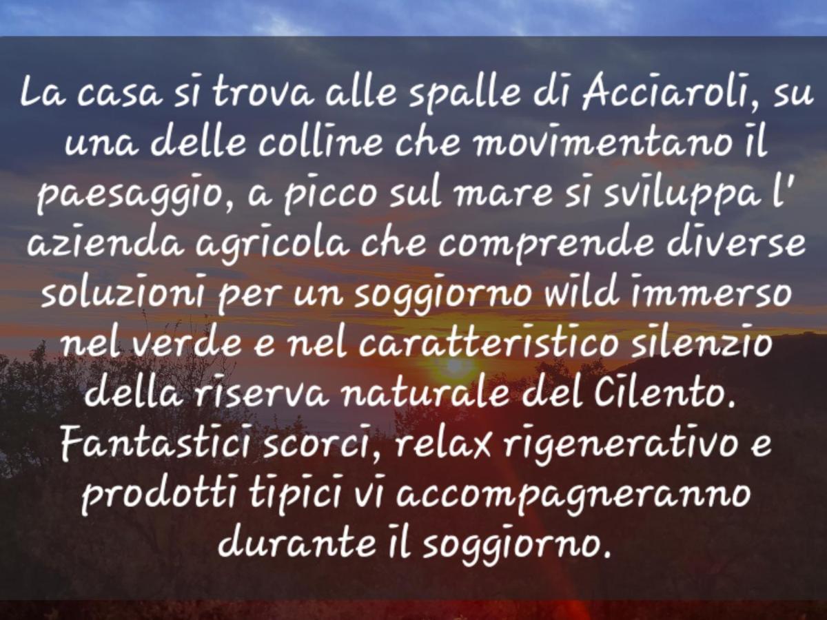 Agriturismo Le Terre Di Venere Acciaroli Exterior foto