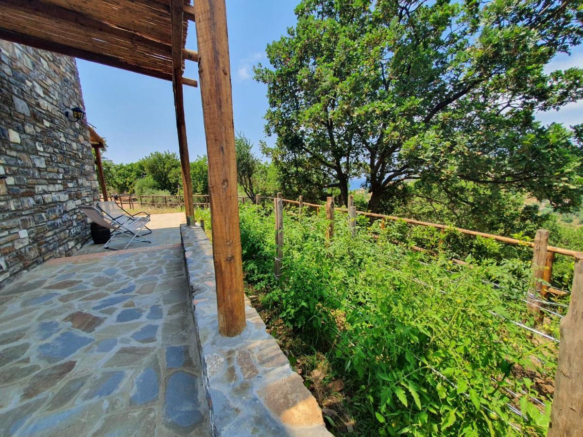 Agriturismo Le Terre Di Venere Acciaroli Exterior foto