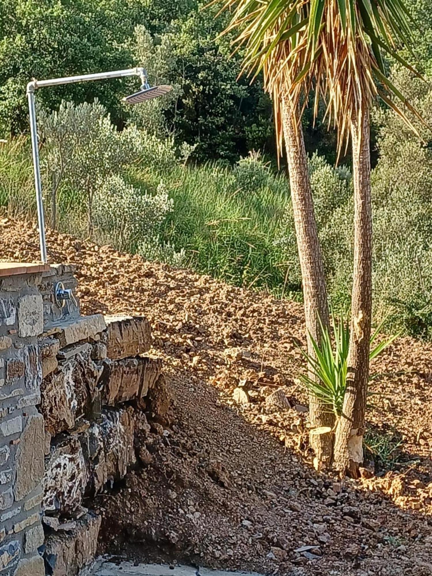 Agriturismo Le Terre Di Venere Acciaroli Zimmer foto